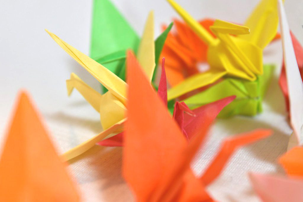 雌ライオンが写真家のカメラを盗み、独占的な写真を撮る